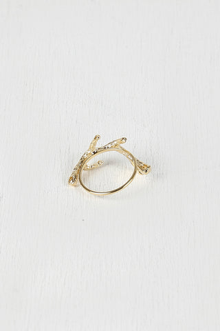 Rough Branch Ring